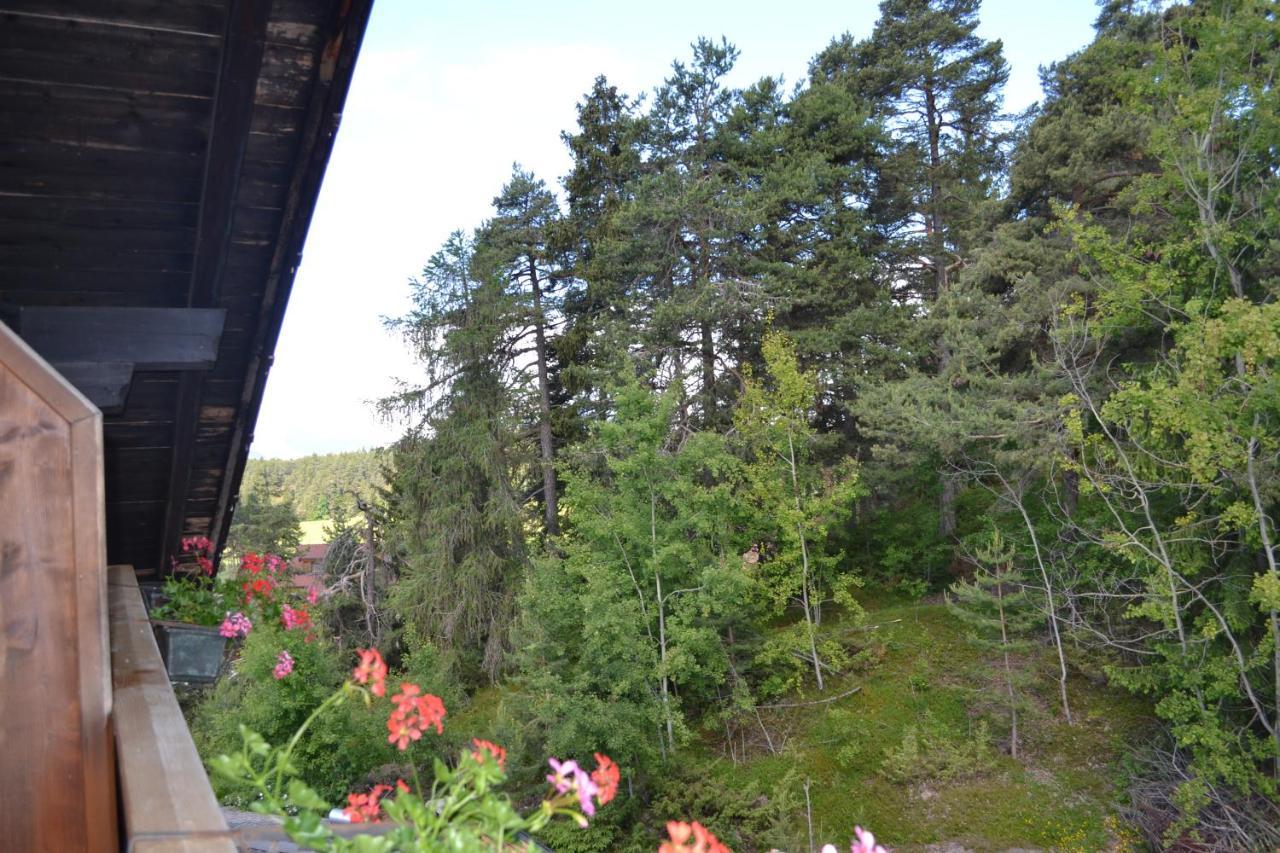 Gasthof Zum Gruenen Baum Verano Exterior foto